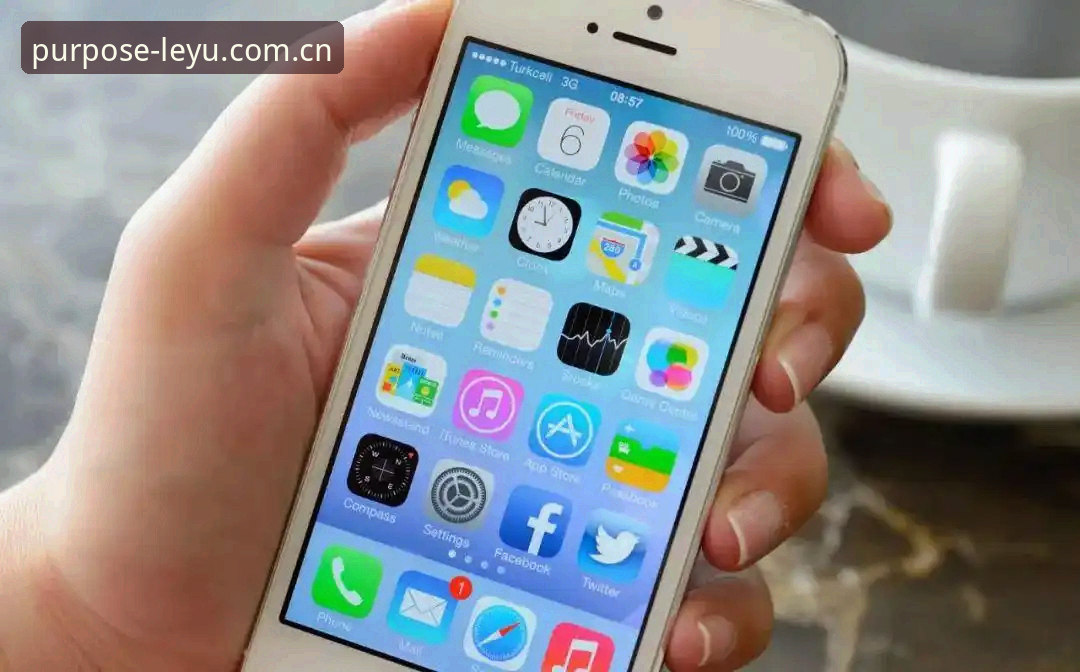 乐鱼APP苹果ios安装 乐鱼体育平台v3.2.0:苹果iOS安装全流程与赛事数据深度解析