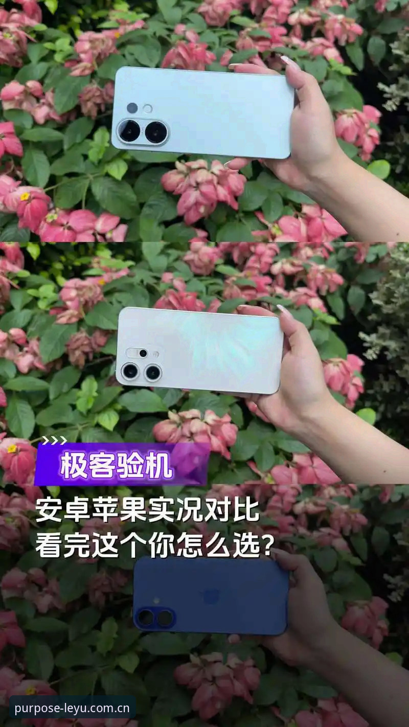 乐鱼苹果版vs安卓版：用户选择差异与性价比全面对比